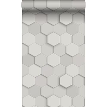 eco-texture vliesbehang 3d hexagon motief lichtgrijs